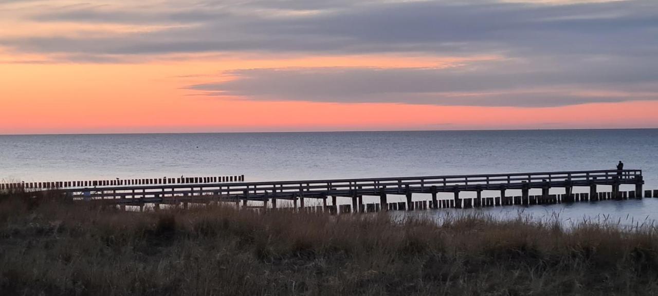 Appartamento Haus Nadine Zingst Esterno foto