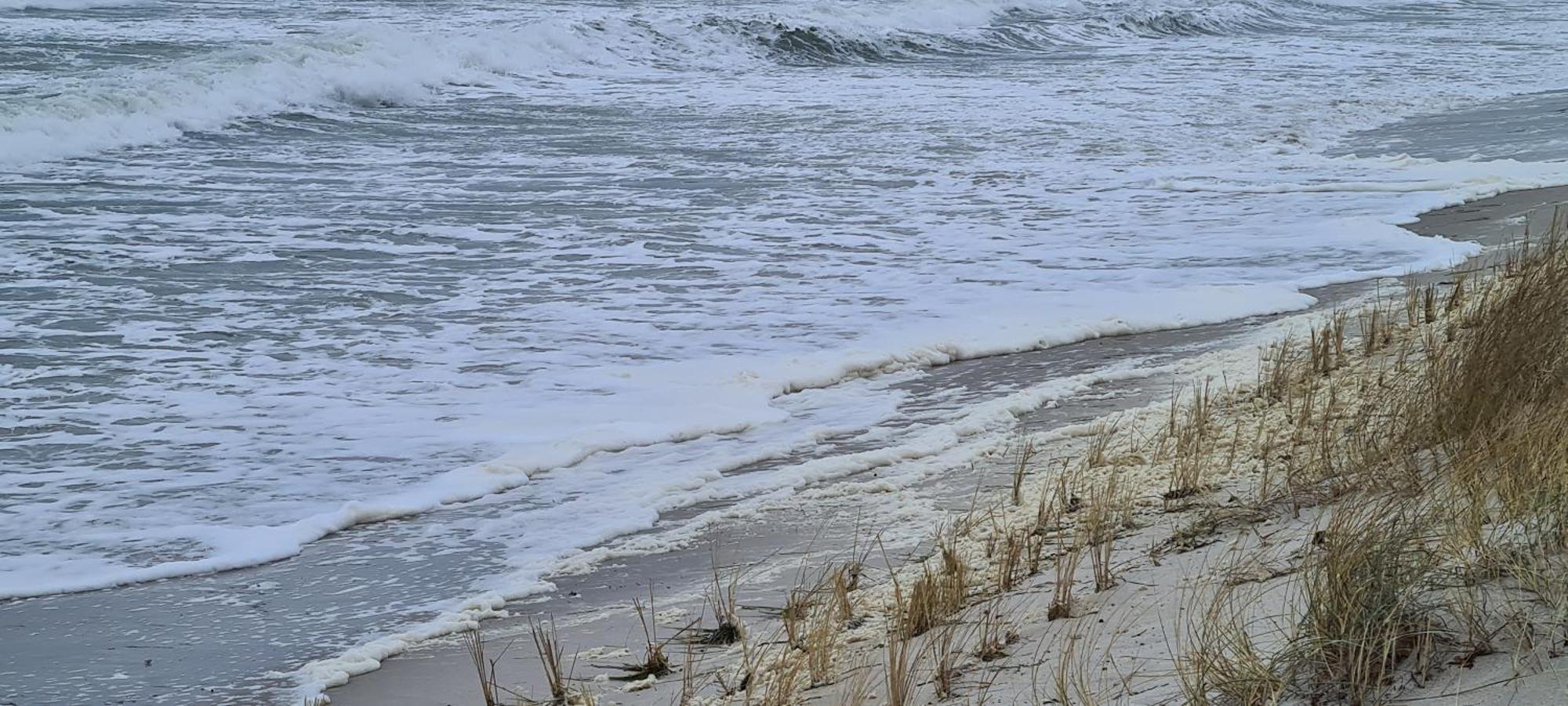 Appartamento Haus Nadine Zingst Esterno foto